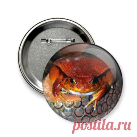 Значок с лягушкой помидором.