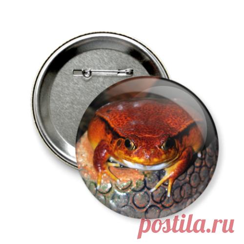 Значок с лягушкой помидором.