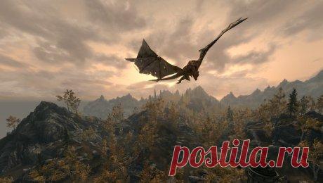 В США сняли на видео настоящего дракона Скептики же уверенны, что видео – подделка.