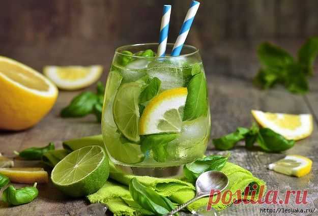 Удар по жаре: 20 рецептов освежающих лимонадов!