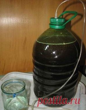 Лучший самогон из варенья - рецепт браги и перегонка