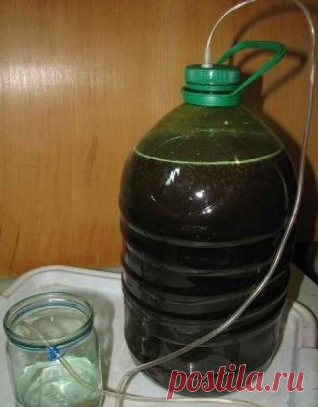 Лучший самогон из варенья - рецепт браги и перегонка