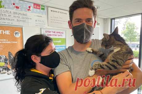 Пропавший кот вернулся к хозяевам спустя десять лет. Семья из Шотландии воссоединилась с котом, который пропал десять лет назад. Животное нашел местный житель всего в нескольких километрах от того места, где оно пропало. Кот попал к сотруднику организации по защите животных, и тот нашел у него микрочип с данными владельцев. К этому моменту они переехали в другой город.