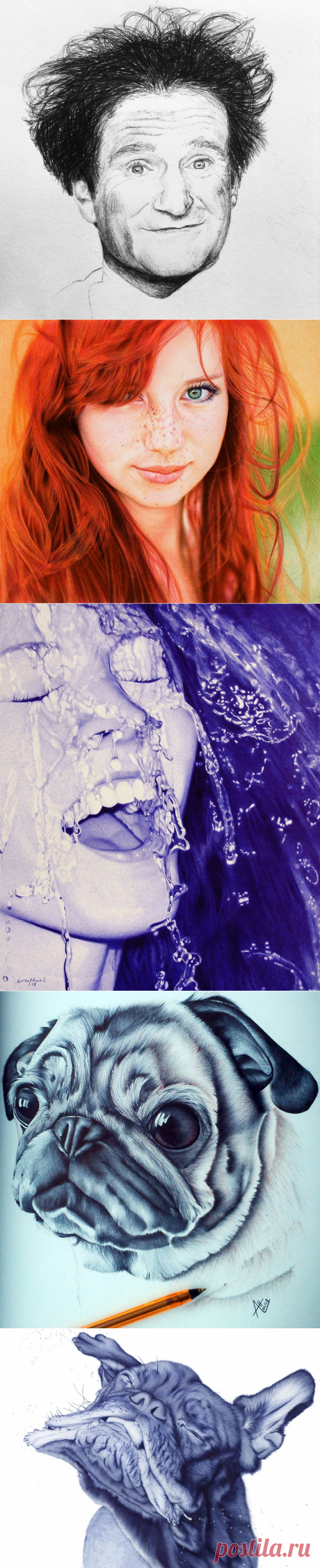 Картины, нарисованные шариковыми ручками | Мир позитивных новостей