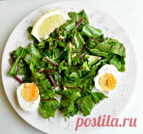 САЛАТ СО СВЕКОЛЬНОЙ БОТВОЙ НАСЛАЖДЕНИЕ ОТ ВКУСНОЙ И ПОЛЕЗНОЙ ЕДЫ!В сезон молодой свеклы можно сделать очень вкусный и полезный салат из ее ботвы. Такой салат делается быстро и не требует никаких лишних составляющих. Все, что по…