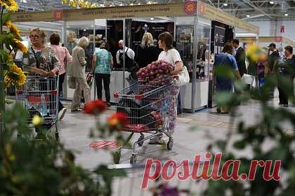 Россиянам назвали правильный способ совершать покупки. Часто люди при посещении магазина набирают много ненужных товаров, которые стоят намного дороже того, что было на самом деле необходимо. От спонтанных покупок предостерегла старший менеджер направления операционной доставки сервиса экспресс-доставки «Перекресток» Юлия Лемешева в беседе с агентством «Прайм».