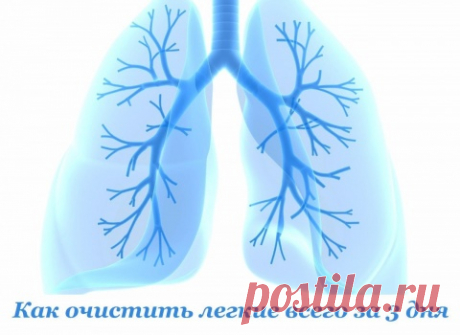 Как очистить легкие всего за 3 дня после курения