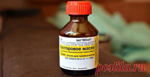 Касторовое масло заставит цвести даже самые проблемные комнатные растения | Секреты садоводства | Яндекс Дзен