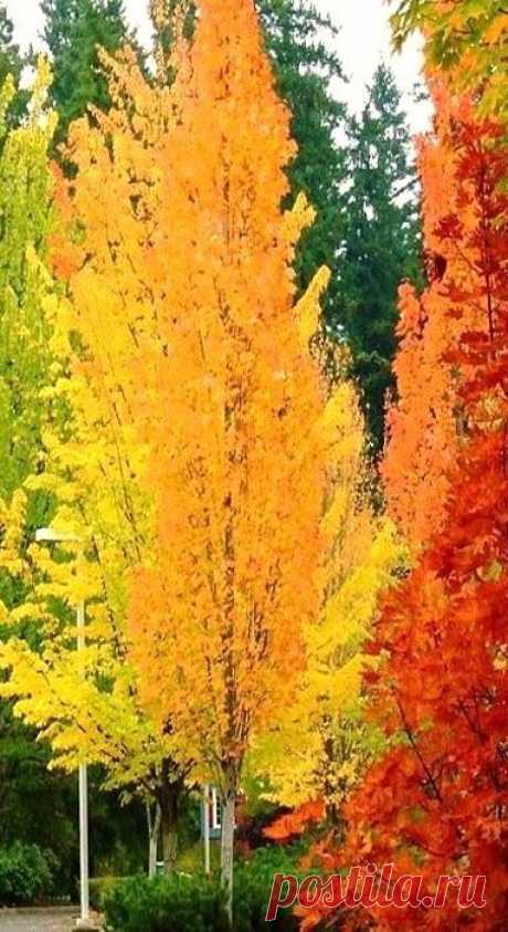 Найдено на сайте media-cache-ak0.pinimg.com.