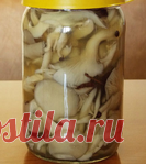 Быстрые маринованные вёшенки.