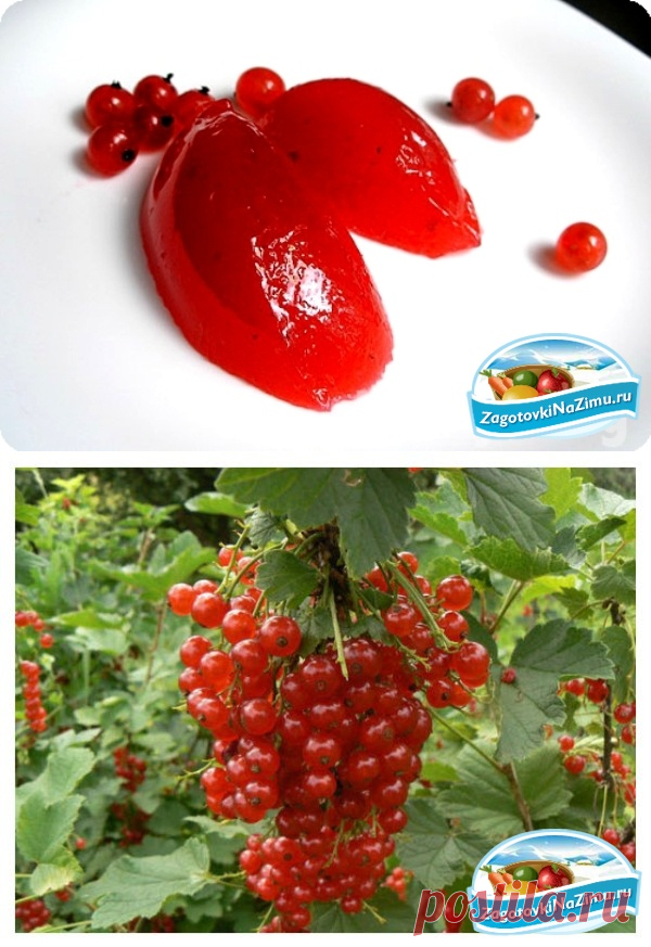 Повидло из красной смородины