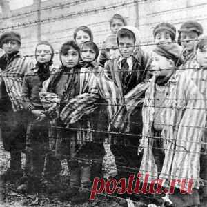 ШоубиZZZ - всё о звёздах