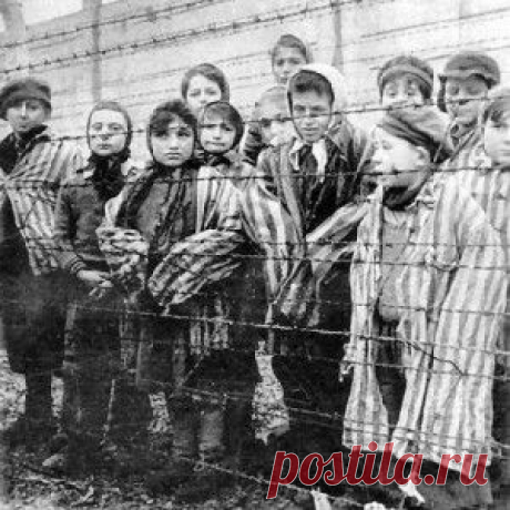 ШоубиZZZ - всё о звёздах