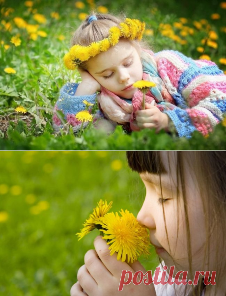 Чем вывести пятна от одуванчиков на одежде | ПравилаУборки.ру