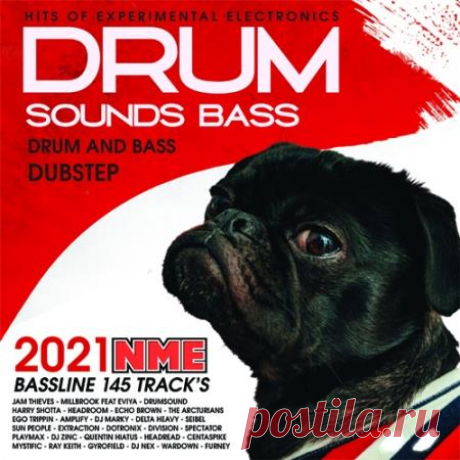 Drum Sound Bass (2021) Прыжки до потолка, угар, бодрейшие сеты и драйв в сочетании с депрессивной меланхолией. Всё это будете переживать вместе с исполнителями треков сборника сочных басов под названием "Drum Sound Bass". Таксисты слушают и не спят за рулём, рейверы скачут около своих подъездов, а бабушки
