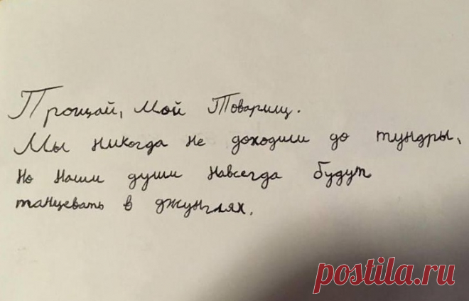 Иностранцы рассказали о самых странных особенностях русского языка, и с их словами трудно поспорить  


 С каждым днем все больше людей на планете решаются освоить «великий и могучий». Причины у всех разные: одни хотят узнать значение популярного слова «бабушка», другие мечтают о грандиозном путешес…