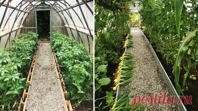 Из чего сделать дорожку в теплице | Теплицы 
