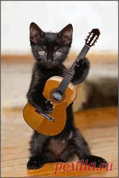 (9) Pinterest