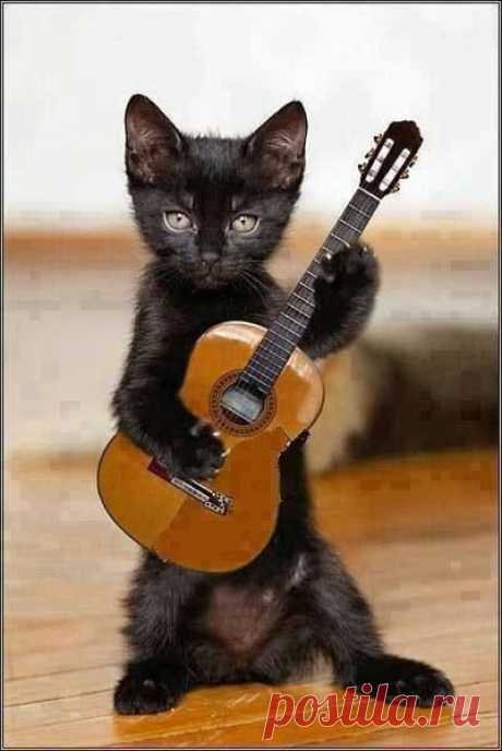 (9) Pinterest
