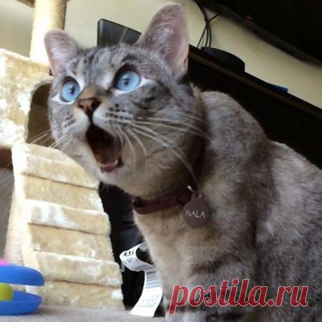 Look at this... &amp;#127759;