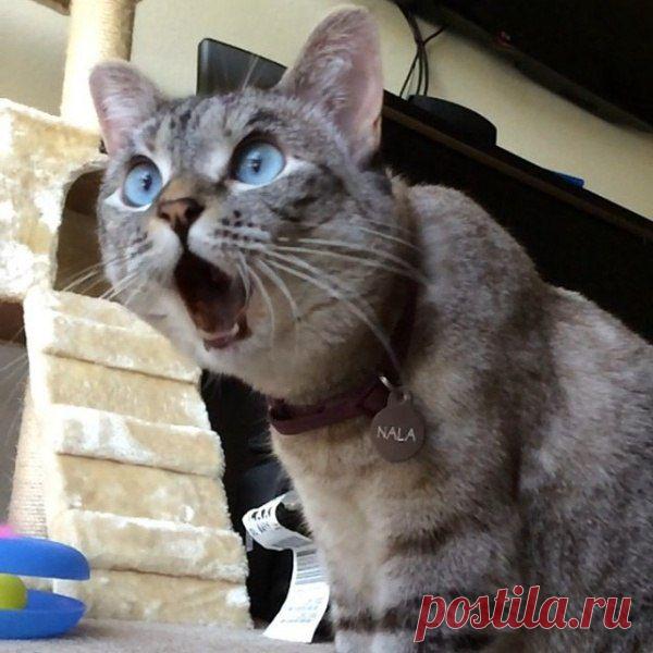 Look at this... &#127759;