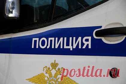 Пропавшую в декабре мать пятерых детей нашли мертвой в российском городе. Мать пятерых детей Любовь Белюшину, которая три недели назад пропала в Свердловской области, нашли мертвой. Об этом сообщили поисковики из отряда «Прорыв», пишет e1.ru. Других подробностей о случившемся в поисковом отряде не раскрыли. Сестра бывшего мужа погибшей россиянки рассказала, что детей забрали сотрудники опеки