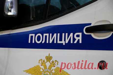 Пропавшую в декабре мать пятерых детей нашли мертвой в российском городе. Мать пятерых детей Любовь Белюшину, которая три недели назад пропала в Свердловской области, нашли мертвой. Об этом сообщили поисковики из отряда «Прорыв», пишет e1.ru. Других подробностей о случившемся в поисковом отряде не раскрыли. Сестра бывшего мужа погибшей россиянки рассказала, что детей забрали сотрудники опеки