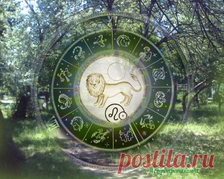 Не время для перемен. Гороскоп для Льва с 1 по 27 июня 2021 | Астропропаганда | Яндекс Дзен
♌✨ Автор: астролог Нина Стрелкова. ✧ В этом месяце вы чаще будете задумываться о будущем, но это не подходящее время для перемен, сначала вам надо будет завершить незавершенные дела, а потом восстановить потраченные на это силы. Солнечное затмение 10 июня 2021 может склонять вас к внезапной активности, но в это время легко совершить ошибку, исправлять которую придется очень долго.
