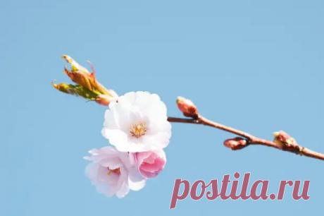 Сильный знак Вселенной, что вы идёте не туда: простая диагностика счастья - Сказка для двоих - 30 мая - Медиаплатформа МирТесен