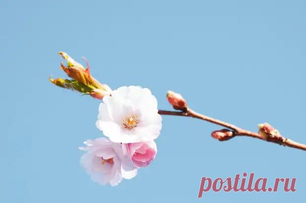 Сильный знак Вселенной, что вы идёте не туда: простая диагностика счастья - Сказка для двоих - 30 мая - Медиаплатформа МирТесен