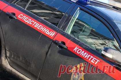 Российский военкор высказался о расправе над сторонником «Русской общины» под Москвой