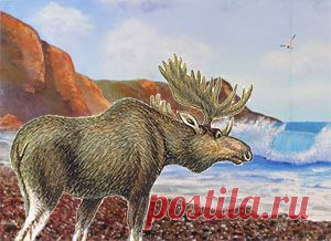 Безответственность и самонадеянность, увы, свойственны многим людям. И именно таков герой этой поучительной басни в стихах.