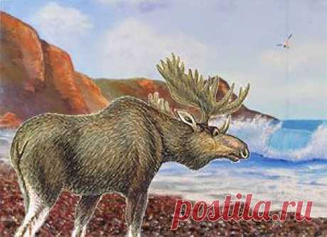 Безответственность и самонадеянность, увы, свойственны многим людям. И именно таков герой этой поучительной басни в стихах.