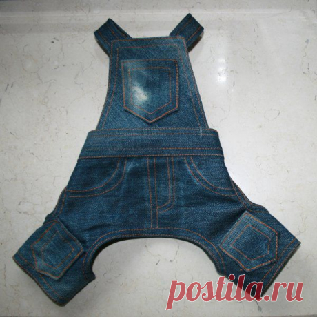 Выкройки для собак. Скачать бесплатно Выкройки для собак в плохую погоду. Страница 2