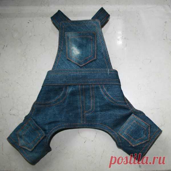 Выкройки для собак. Скачать бесплатно Выкройки для собак в плохую погоду. Страница 2