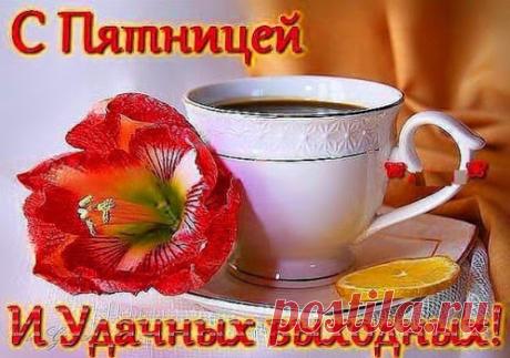 Топ дня - лучшие открытки отправленные за последние 24 часа