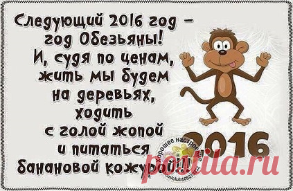 Веселый гороскопчик на 2016 год...