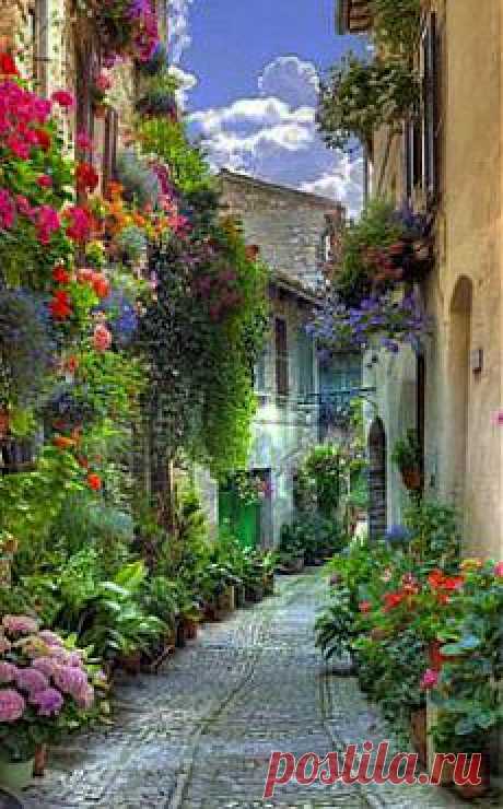 Verona Italy Street Flowers - Totally Frickin Awesome|Pinterest