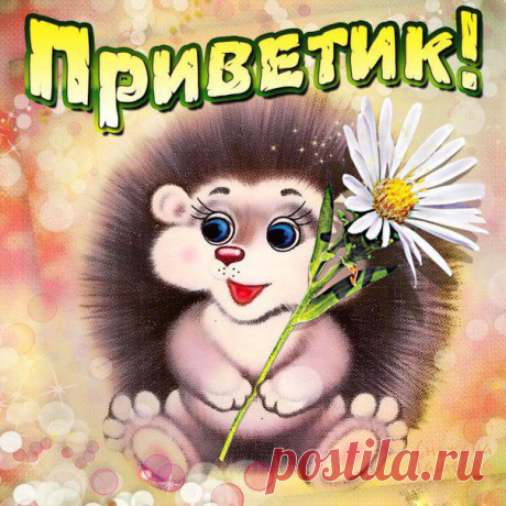 Открытки Привет просто так  Анимация красивая Привет скачать