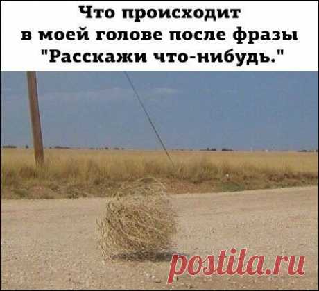 Прикольные картинки с надписями, смешные фото и прочий юмор