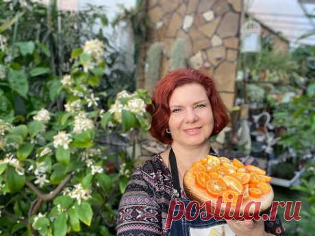 Кумкваты - неизвестный многим плод. Как микроцитрусы и прочие экзоты.... - YouTube