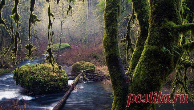 Светлана Ершова – Google+