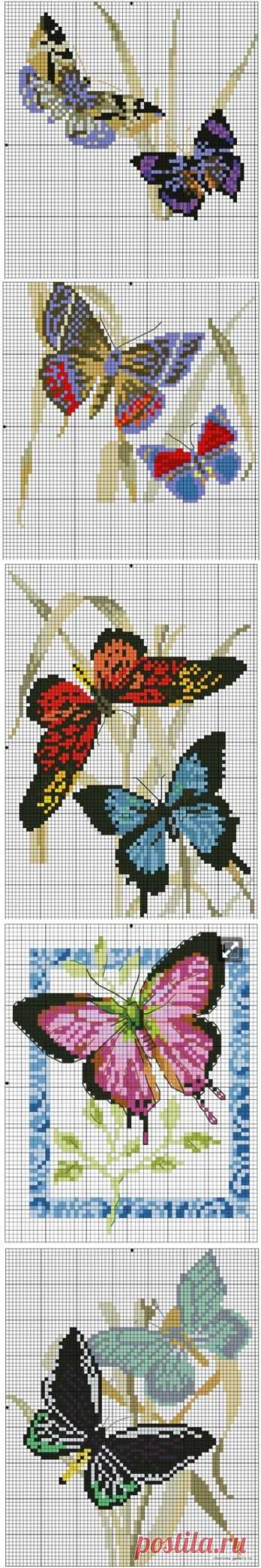 БАБОЧКИ / Вышивка / Схемы вышивки крестом