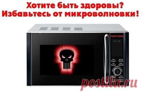 avega - Вред и польза микроволновой печи