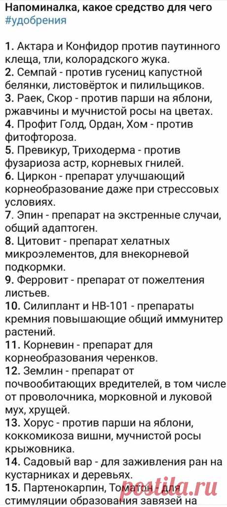 Пин на доске Сад огород