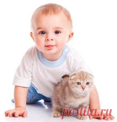 Котёнок вырастет кошкой, / Супер детство