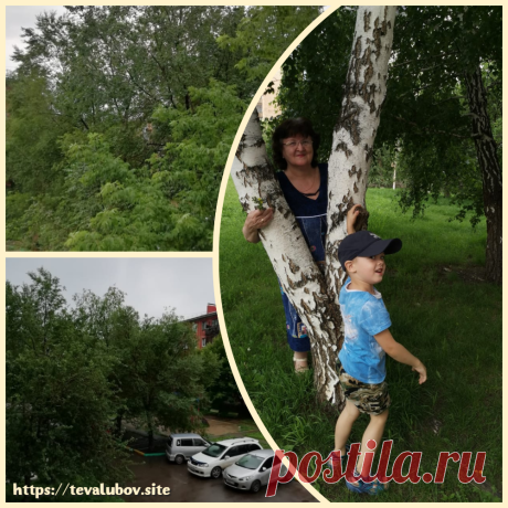 Летняя прогулка с внуком по парку.