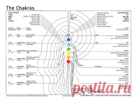 biomagnetismo - Buscar con Google