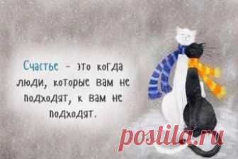 Архивы Юмор - Перекрестки жизни