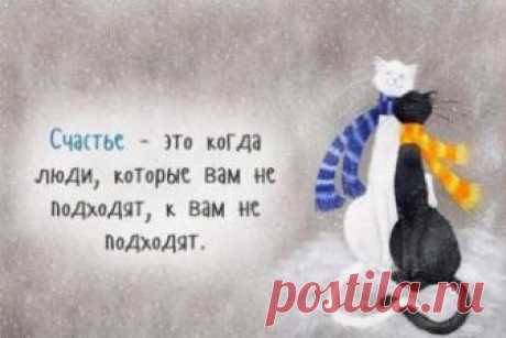Архивы Юмор - Перекрестки жизни